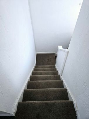 4 bed to rent in South Park Avenue, Norwich, NR4 - Photo 1