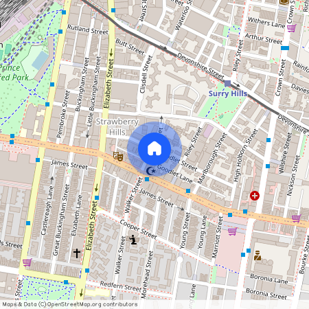 114 Wilton Street, NSW 2010, Surry Hills