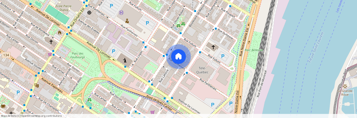 1451 Rue Parthenais, app.502, H2L 0A2, H2L 0A2, Montréal (Ville-Marie) (Centre)