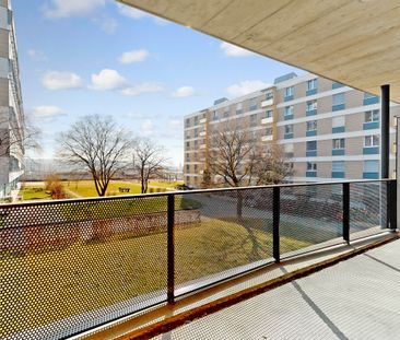 Little gem for sale? Modern single apartment is looking for you! - Foto 5