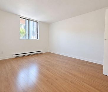 1 CH - 1 SDB - Montréal - $1,250 /mo - Photo 1