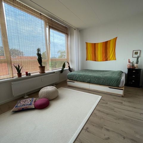 Studio Pelikaanstraat – Assen - Foto 1