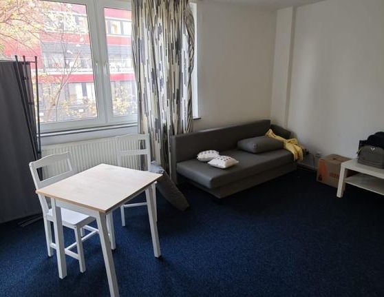 1 Zimmerwohnung sucht neuen Mitarbeiter - Foto 1