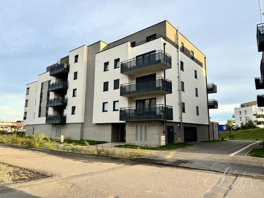 YUTZ – Appartement 2 pièces – Une chambre – Terrasse – Box en sous-sol - Photo 1