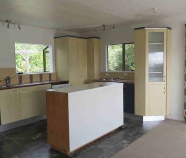 Sun Sun & More Sun - Photo 2