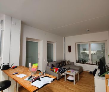 Kulvertkonstens väg, Hisings Backa - Foto 3
