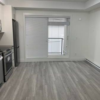 Surrey Centrer condo studio ( No parking) - Photo 3