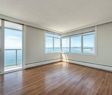 Seaview Tower - Bachelor - Available Now - Photo 3