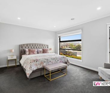 Peaceful and Private - A St Leonards Beauty - Photo 3