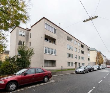 Ruhelage! Schöne 2-Zimmer-Wohnung in Großjedlersdorf zu vermieten! - Photo 3