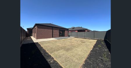 Brand New Stylish Family Home in Melton South - Photo 4