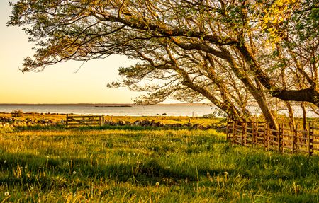 Södra Hovallsvägen, Förslöv - Foto 2