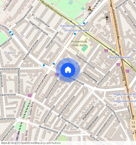 Hegenheimerstrasse **, 4055 Basel