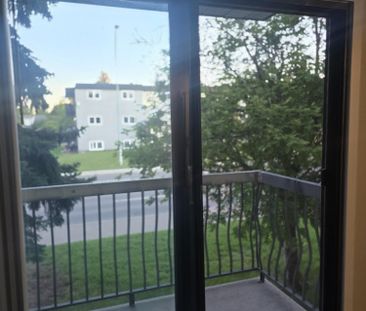 Modern 1 Bedroom Apartment Downtown Available Now - Photo 2