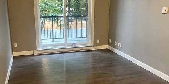 Magnifique 3½ – Disponible JUILLET - Photo 3