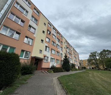 Grudziądz, Strzemięcin Mieszkanie na wynajem - Фото 2