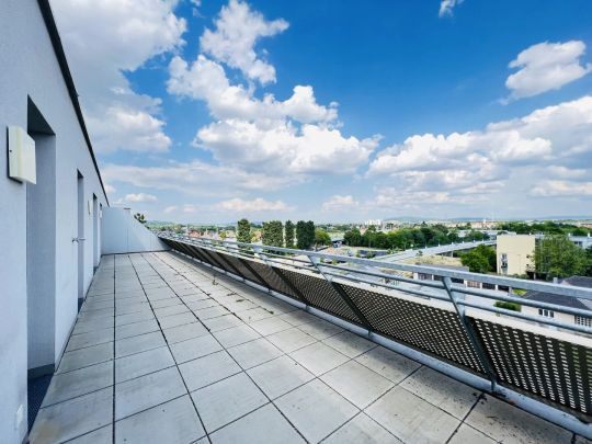 Q11 – Licht, Luft, Lebensgefühl: Ihre neue Terrassenwohnung zwischen Innenstadt und Traisen. - Photo 1
