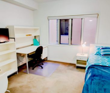 255 Cardigan Street, Melbourne - Photo 3