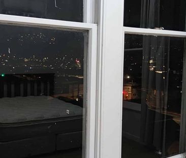 European Luxury with Best City Views in Newtown - Photo 4