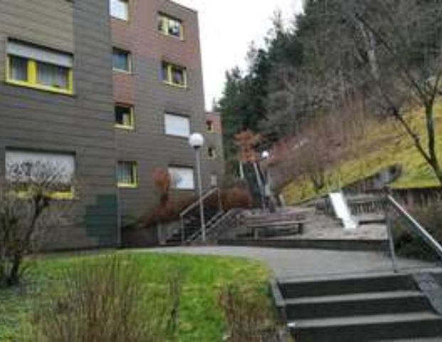 182.03 3 ZKB Wohnung Karl-Greiner-Str. 65 in Calw Besichtigung: 06.11. um 19 Uhr - Photo 1