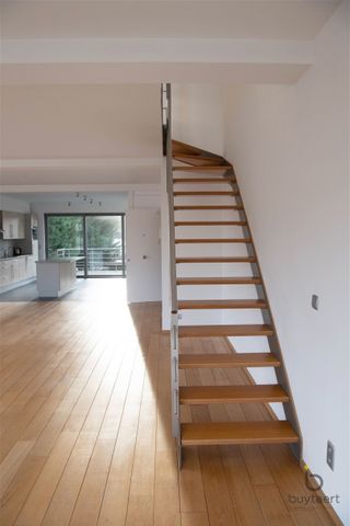 Duplex/triplex - Photo 4