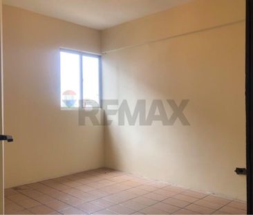 Apartamento amplo na Cidade Universitária - Foto 6