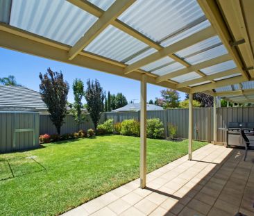 Professional & Straightforward - Photo 5