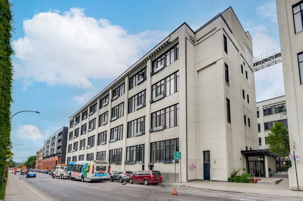 790 Rue Rose-de-Lima, #150 - Photo 1