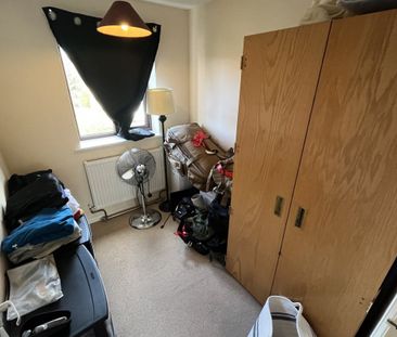 Thyme Close - Photo 4