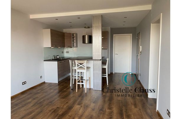 Appartement - LINGOLSHEIM - 58m² - 1 chambre - Photo 1