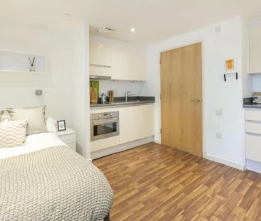 Premium Lower Floor - Photo 6