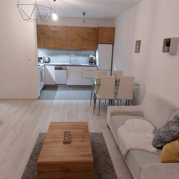 Pronájem bytu 1+1 46 m2 - Fotografie 1