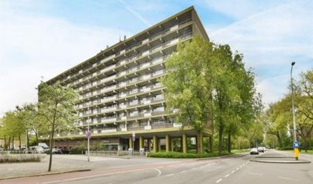 Kringloop 1186 WB Amstelveen - Photo 5