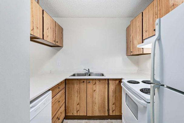 Renovated Suite - 1 Bedroom - Photo 1