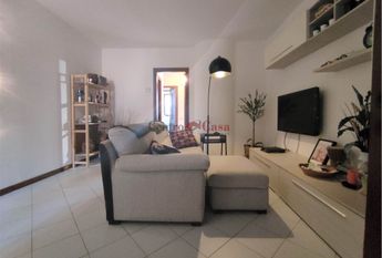 Grazioso tricolare in contesto di corte.