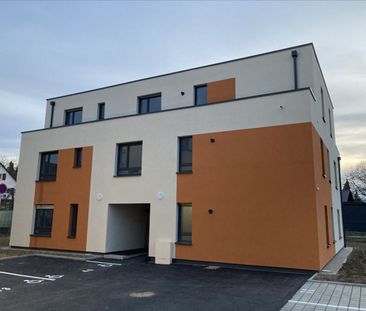 Appartement - Photo 3