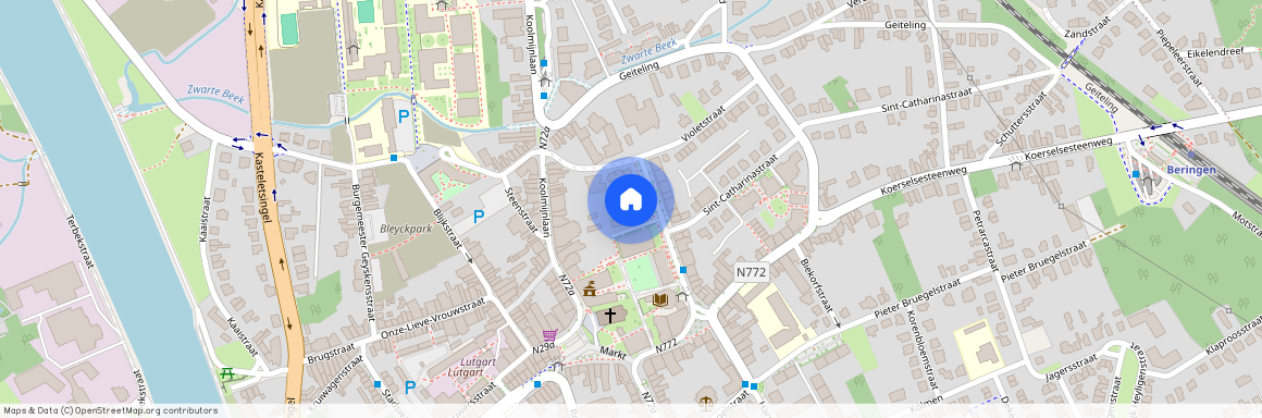 graaf van Loonstraat 28/4 - 3582 Beringen