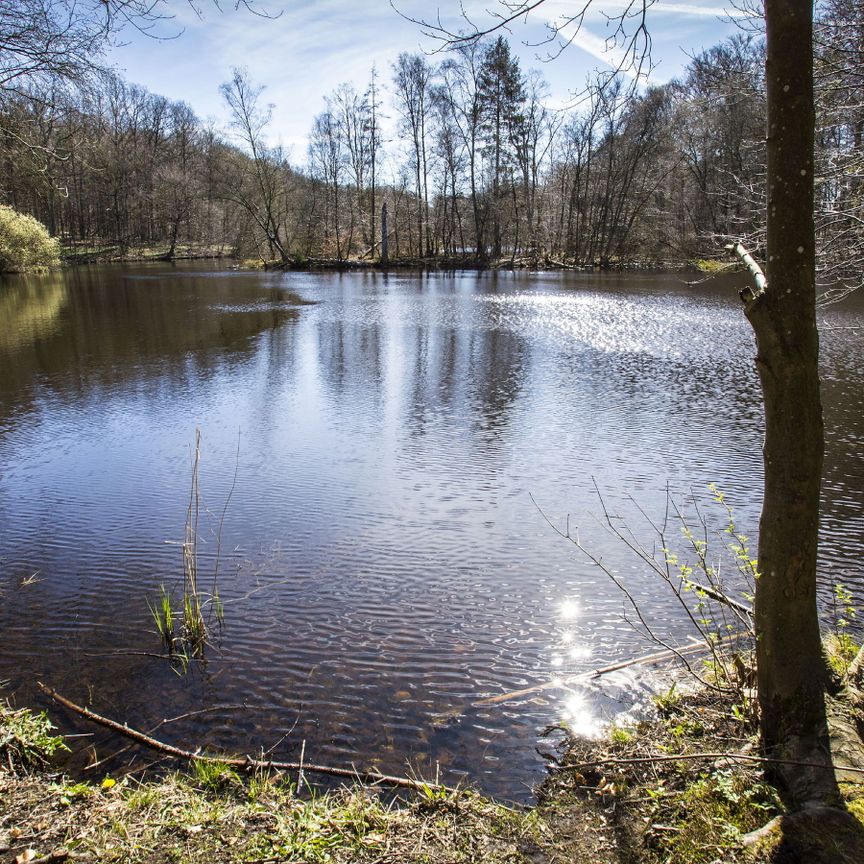 Egedal Stationsby - Dejlig 2 vær. med hyggeligt køkken-alrum og altan - Photo 1