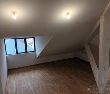 JARDIN DES PLANTES: T3 en duplex de 90.5 m² avec parking - Photo 6