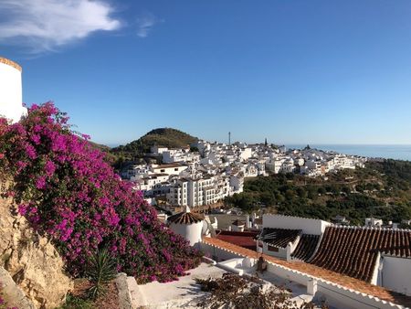 CORTIJO FOR LONG TERM RENT SITUATED IN FRIGILIANA - Photo 3