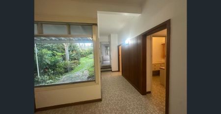 Charming Family Home for Rent – 21 Jurang St, Balwyn VIC (Brand new timber flooring in the living room) - Photo 4