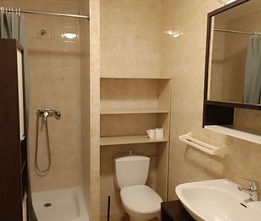 Location Appartement 1 pièce 25m² LA ROCHE SUR YON 85000 - Photo 2