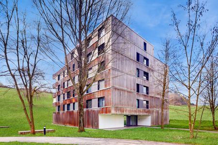 Traumwohnung mit grossem Balkon! - Photo 2