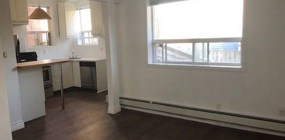 Bright 1 Bedroom Apt in the Heart of the Annex - Photo 2