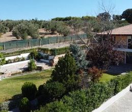 Μονοκατοικία για ενοικίαση - Ωρωπός - Φωτογραφία 6