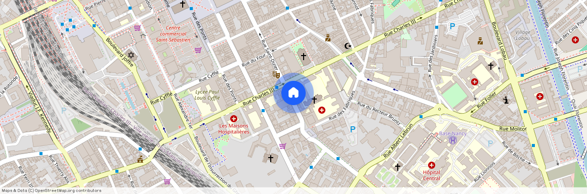 153 RUE SAINT DIZIER, Charles Iii Sud Jardiniers, Nancy