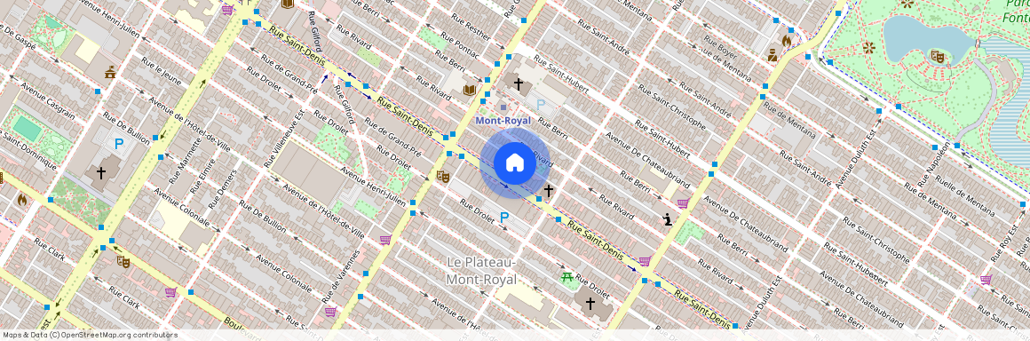 4411 Rue St-Denis, app. 207, Montréal (Le Plateau-Mont-Royal), H2J2L2