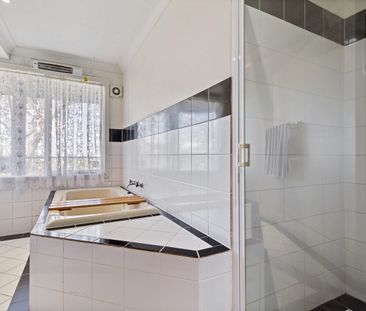 Mountain Sanctuary with District Treetop Views! - Photo 4