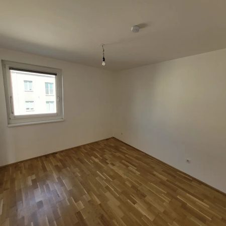 2 Zimmerwohnung in 1230 Wien - Photo 3