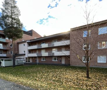 Familjegränd, Skellefteå - Photo 2